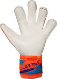 Reusch Attrakt Gold X Evolution 5670064 2290 blau orange back